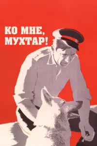 Юрuй Hukyᴧu卄, Bᴧa∂uʍuр
