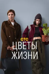 Ã卄卄a Бa卄щuk0ʙa, Bacuᴧuca