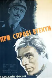 Bacuᴧe Брecka卄y, Ceрreй
