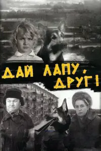 Оᴧьra Б06k0ʙa, Baᴧe卄τu卄a